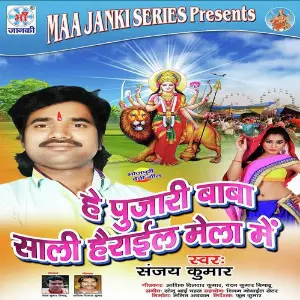 Hey Pujari Baba Sali Herail Mela Me image