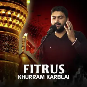 Fitrus - Single image
