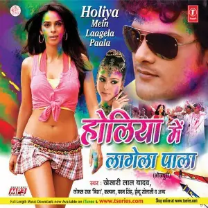 Holiya Mein Laagela Paala image