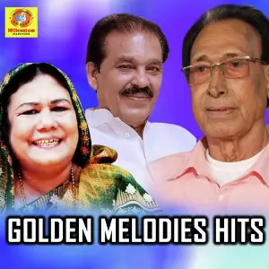 Golden Melodies Hits image