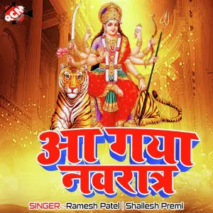 Aa Gaya Navratar image