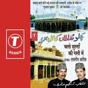 Chalo Sultaan Ki Gali Mein image