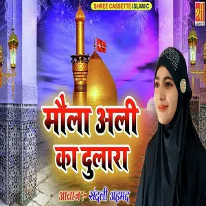 Maula Ali Ka Dulara image