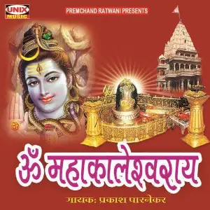 Om Mahakaleswer image