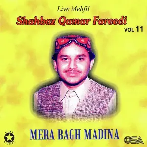 Mera Bagh Madina, Vol. 11 image