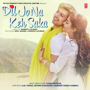 Dil Jo Na Keh Saka image