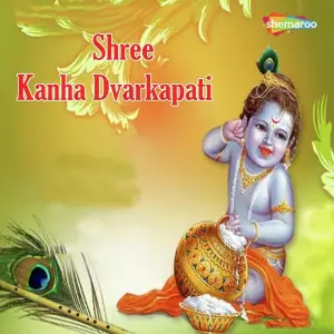 Shree Kanha Dvarkapati image