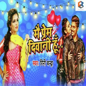 Mai Prem Deewani Hu image