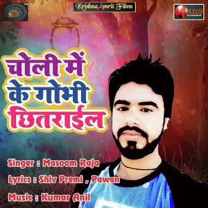 Choli Me Ke Gobhi Chhitarail image