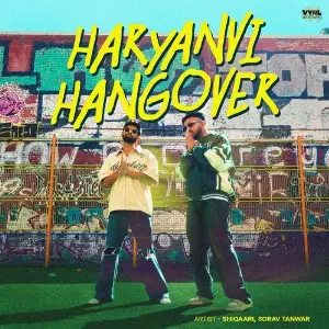 Haryanvi Hangover image