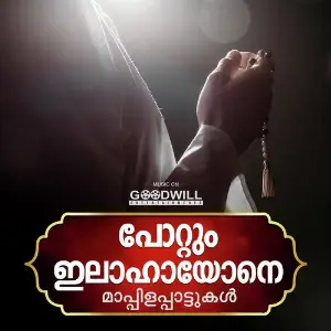 Pottum Ilahaayone image