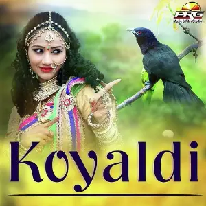 Koyaldi image