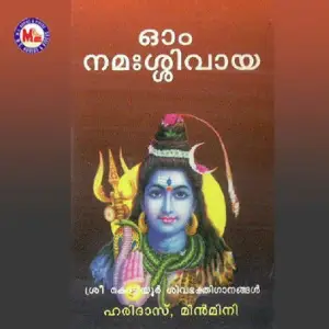 Oum Namasivaya image