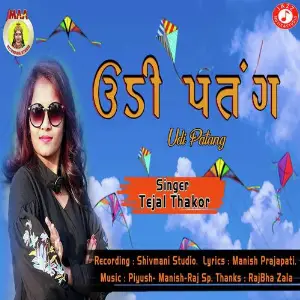Udi Patang image
