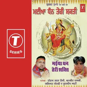 Maiya Dhan Teri Shakti image