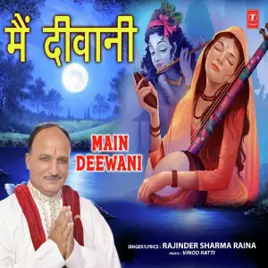 Main Deewani image