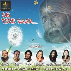 Sai Tere Naam image