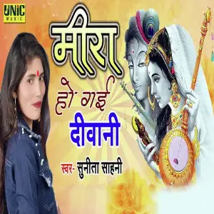 Meera Ho Gayi Deewani image