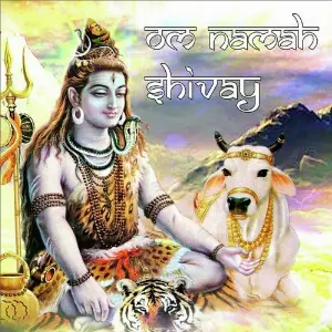 Om Namah Shivay image