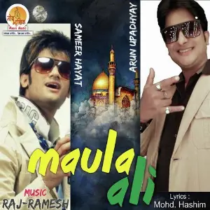 Maula Ali image