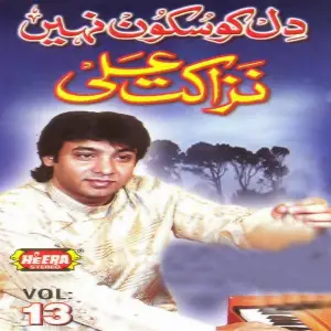 Dil Ko Sukoon Nahi, Vol. 13 image