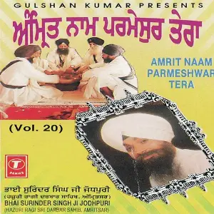 Amrit Naam Parmeshwar Tera (Vol. 20) image