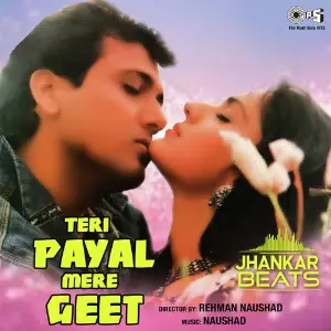 Teri Payal Mere Geet - Jhankar image