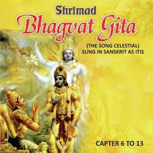 Shrimad Bhagvat Gita, Vol. 6, 7, 8, 9, 10, 11, 12  13 image