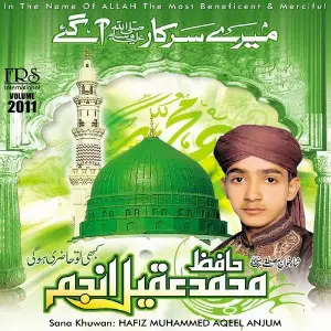 Mere Sarkar Aa Gae, Vol. 2011 image
