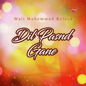 Dil Pasnd Gane image