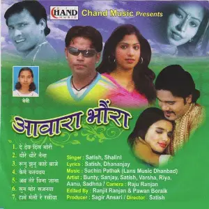 Awara Bhavra image