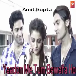 Yaadon Me Tum Bewafa Ho image