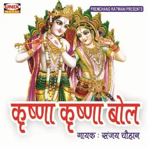 Krishna Krishna Bol image