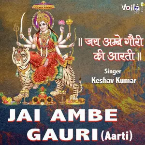 Jai Ambe Gauri image