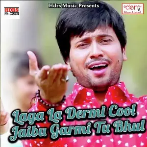 Laga La Dermi Cool Jaibu Garmi Tu Bhul image