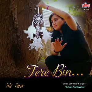 Tere Bin 