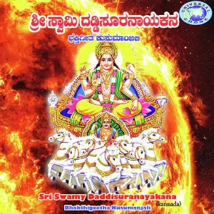 Sri Swamy Daddisuranayakara image