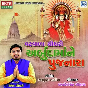 Gujrati Look Sangeet Part 1 Naimesh Choudhary