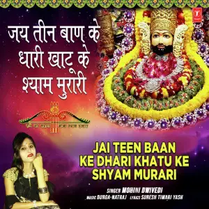 Jai Teen Baan Ke Dhari Khatu Ke Shyam Murari image