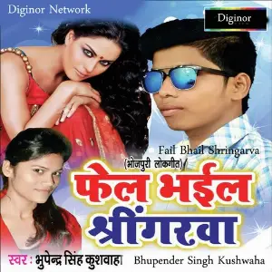 Fail Bhail Shringarva image