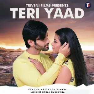 Teri Yaad - Single image