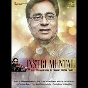 Instrumental - Best Of Jagjit Singh image