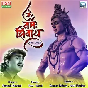 DJ Thakar Maro Gam Dhani Jignesh Kaviraj