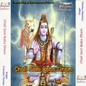 Chali Soni Baba Dham image