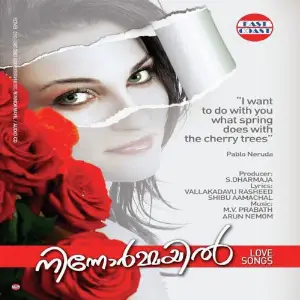 Ninnormayil image