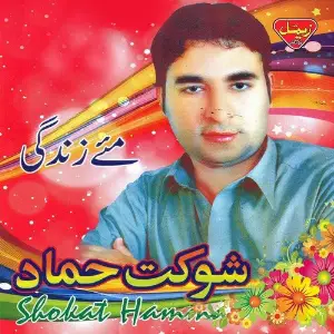 Maye Zindagi image