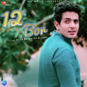 12 Bor - Single image