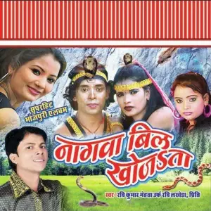 Nagwaa Bil Khojata image