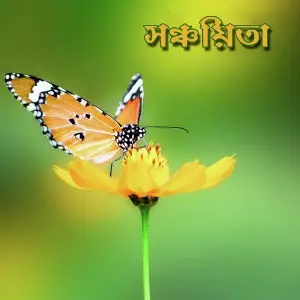 Sanchayita image