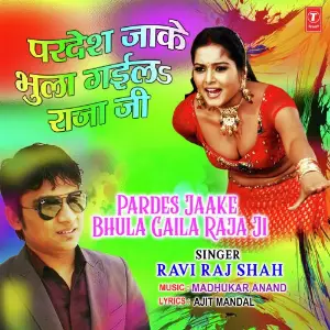 Pardes Jaake Bhula Gaila Raja Ji image